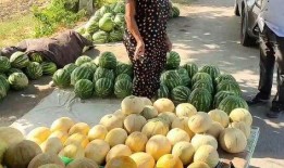 今日吃瓜热门大瓜每日更新 长治体育公园跑道一圈多少米 带你吃瓜,一圈究竟多少米？吃瓜群众带你一探究竟