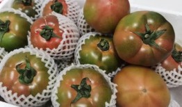 今日吃瓜热门大瓜必看大瓜网红 fun热点黑料 吃瓜爆料每日大赛最新动态,网红Fun热点黑料揭秘，吃瓜大赛最新动态一览